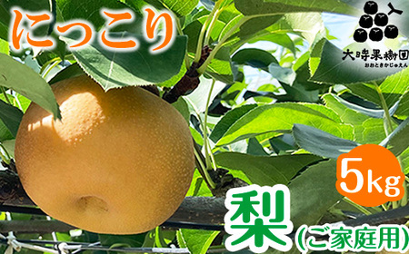 【先行予約】梨 にっこり (家庭用) 5kg ※2026年10月～発送