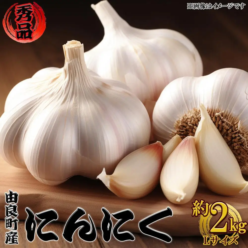 ［先行予約］由良町産にんにく 秀品  Ｌサイズ  約2kg(1kg×2)【SL19】
