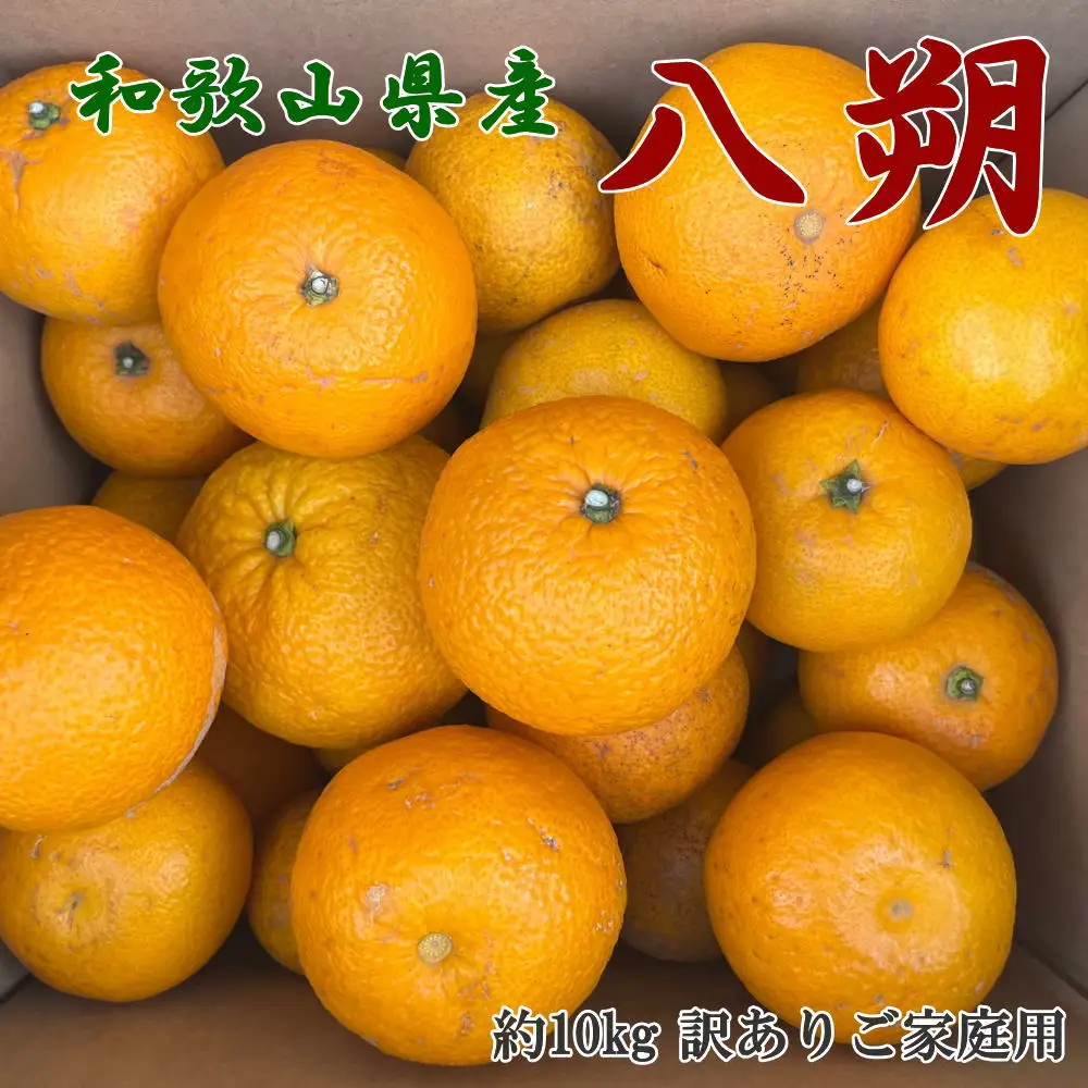 【先行予約】【手選果　訳あり】和歌山由良町産八朔約10kg(サイズ混合・ご家庭用)※2027年1月中旬～2027年2月下旬頃順次発送【tec987A】