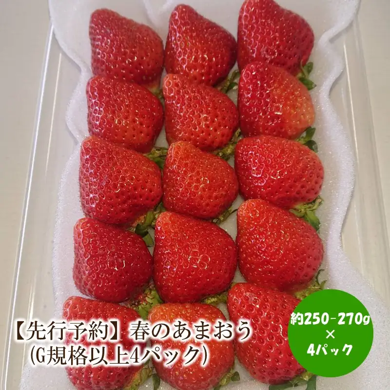【2027年先行予約】春のあまおう(G規格以上4パック)【044-0079】