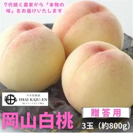 【2027年発送】岡山県産白桃　3玉・約800g(クール便)【配送不可地域：離島】【1614345】