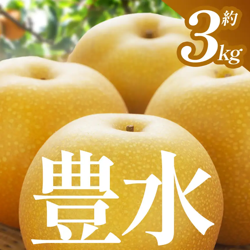 【先行予約】【2026年9月より順次発送】 梨 豊水 3kg |  | 栃木県 下野市