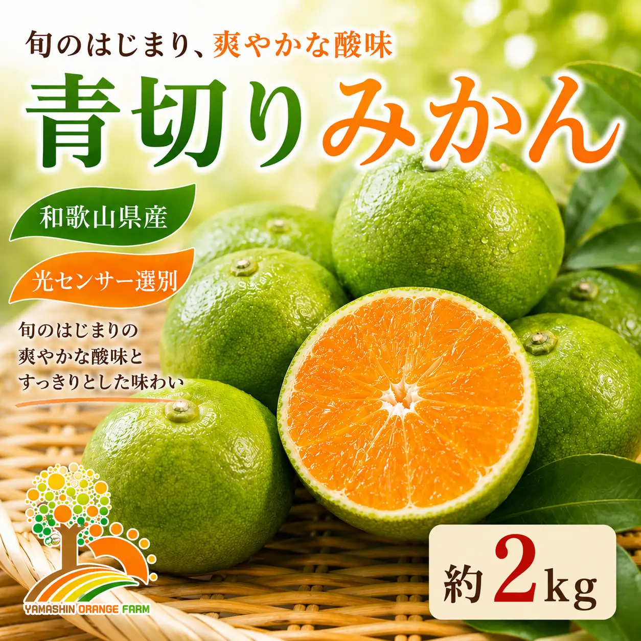 【先行予約】こだわりの青切りみかん 約2kg 農家直送 有機質肥料 100% サイズ混合 ｜ みかん 柑橘 果物 くだもの 果実 フルーツ 和歌山 有田