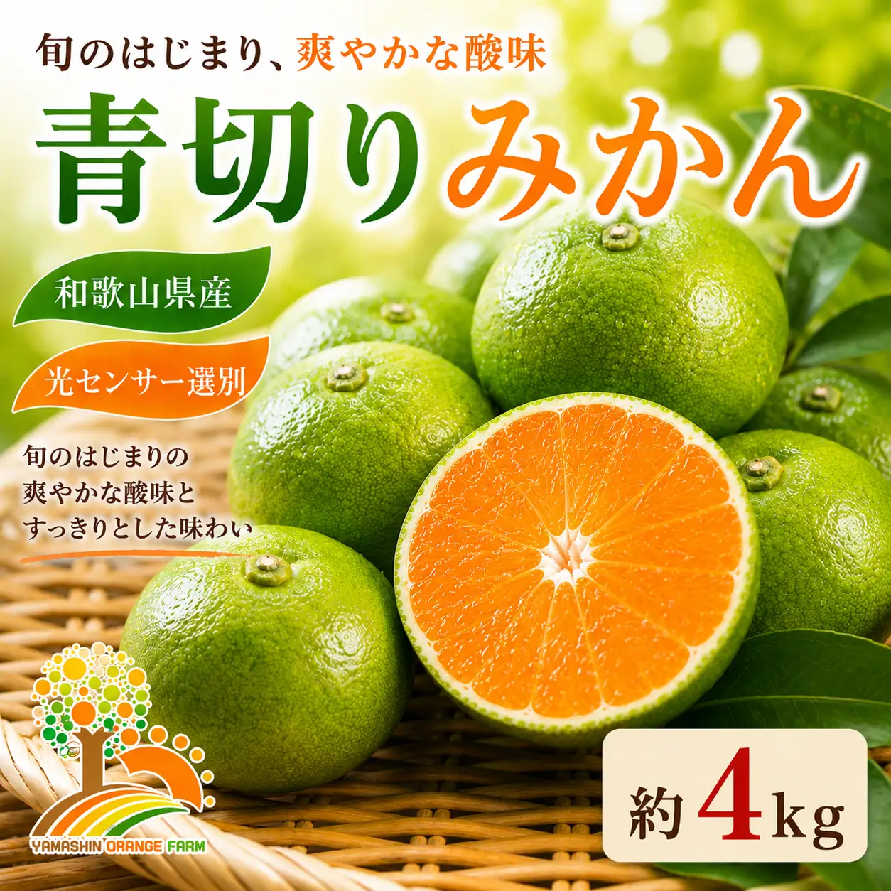 【先行予約】こだわりの青切りみかん 約4kg 農家直送 有機質肥料 100% サイズ混合 ｜ みかん 柑橘 果物 くだもの 果実 フルーツ 和歌山 有田