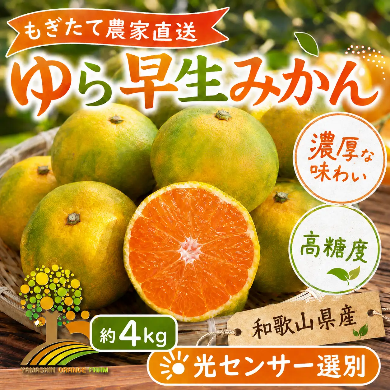 【先行予約】ゆら早生 みかん 濃厚な味わい 約4kg 希少品種《有機質肥料100％》極早生 ｜ 由良 ゆら 早生 わせ 柑橘 果物 くだもの フルーツ 和歌山 有田