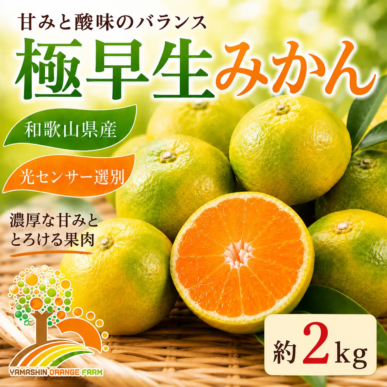 【先行予約】こだわりの極早生みかん 約2kg 農家直送 有機質肥料100% サイズ混合 ｜ みかん 極早生 早生 柑橘 果物 くだもの 果実 フルーツ 和歌山 有田
