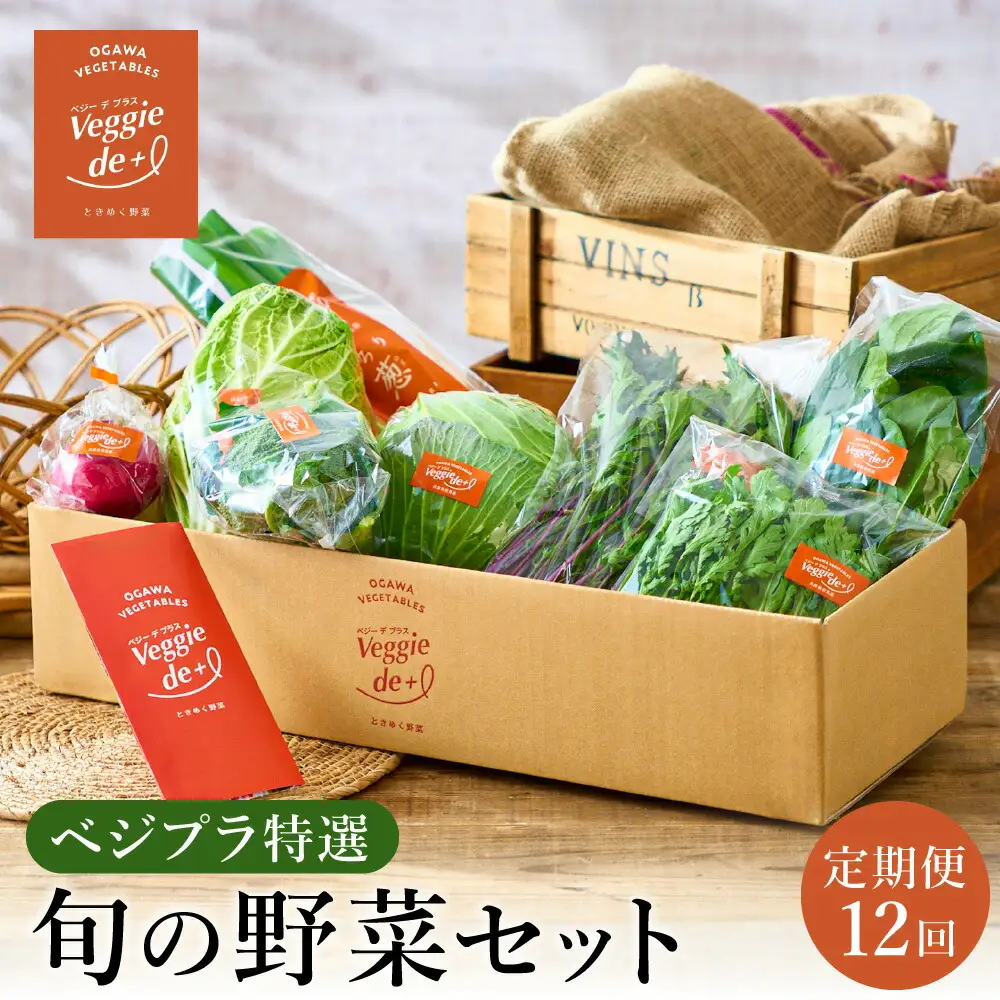 旬の新鮮なお野菜を産地直送！ベジプラ特選 旬の野菜セット【定期便：12回　毎月お届け】 / 野菜 詰め合わせ セット 野菜セット 新鮮 ギフト やさい 苦みが少ない 甘みが強い Veggie de＋【野菜例：キャベツ 水菜 ミニトマト レタス とろり葱 ほうれん草等】