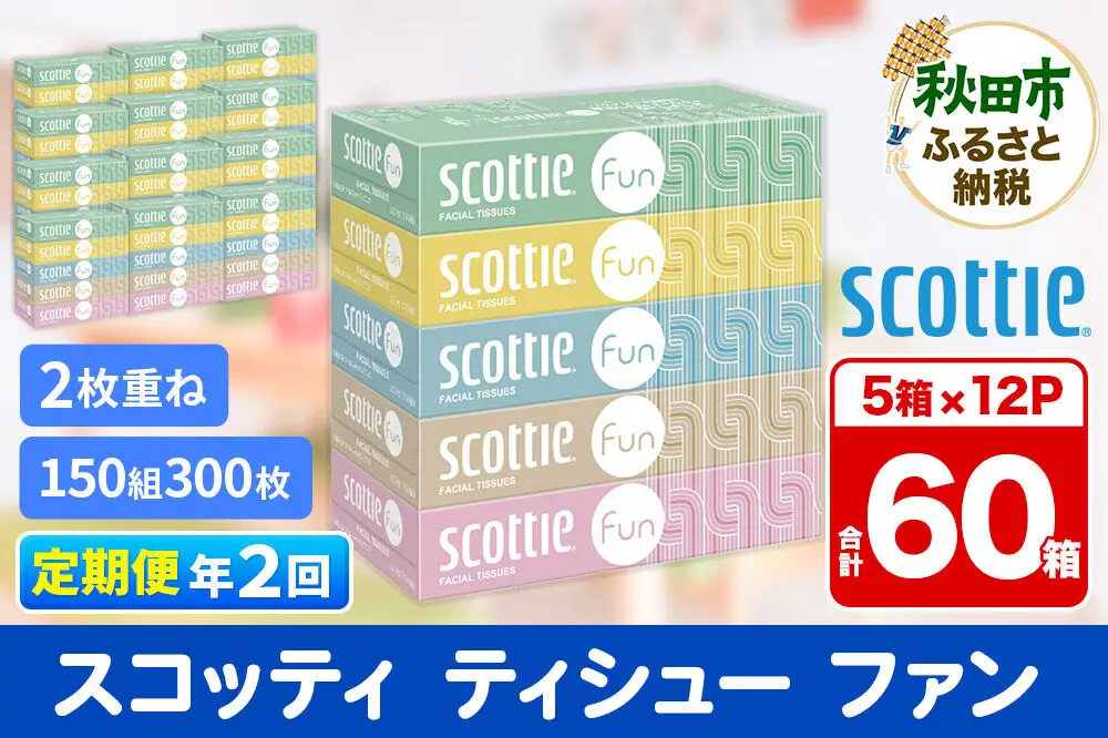 《6ヶ月ごとに2回お届け》定期便 ティッシュペーパー スコッティ ティシュー ファン 150組 5箱×12パック