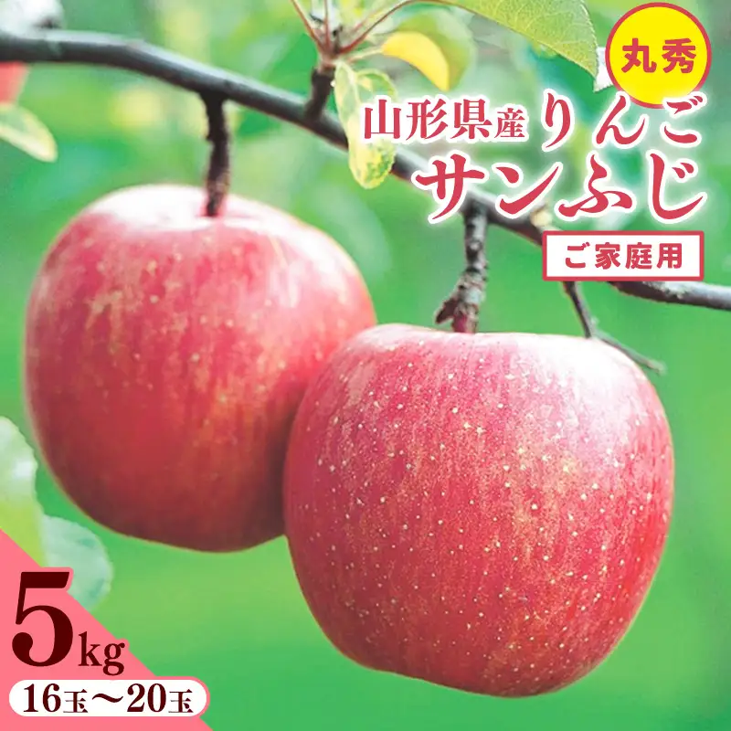 《ご家庭用》 令和8年産 りんご 「サンふじ」 丸秀品 5kg 2026年産 山形県産【2026年11月中旬頃から12月頃発送予定】　017-B-JA049