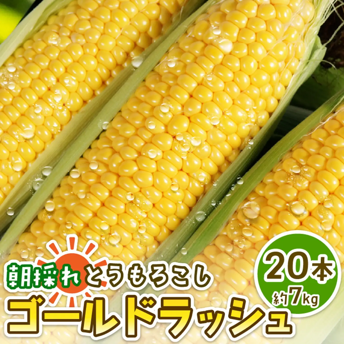  とうもろこし 20本 ゴールドラッシュ 【先行予約】 トウモロコシ