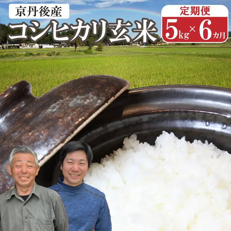 2026年産 丹後弥栄産コシヒカリ（玄米5kg）月1回×6ヵ月 ふるさと納税 お米 米 玄米 コシヒカリ 農家直送 丹後こしひかり ふるさと納税 玄米 定期便