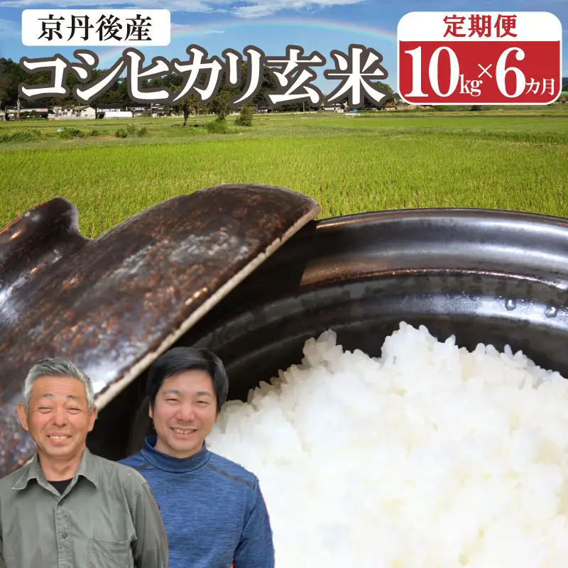 2026年産 丹後弥栄産コシヒカリ（玄米10kg）月1回×6ヵ月 ふるさと納税 お米 米 玄米 コシヒカリ 農家直送 丹後こしひかり ふるさと納税 玄米 定期便