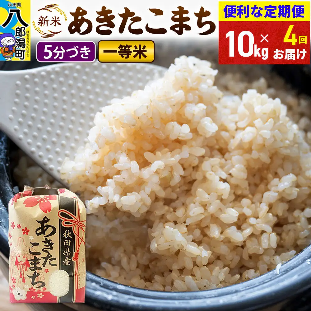 《新米》《定期便4ヶ月》あきたこまち 一等米 10kg【5分づき】 令和8年産 秋田県産 こまちライン