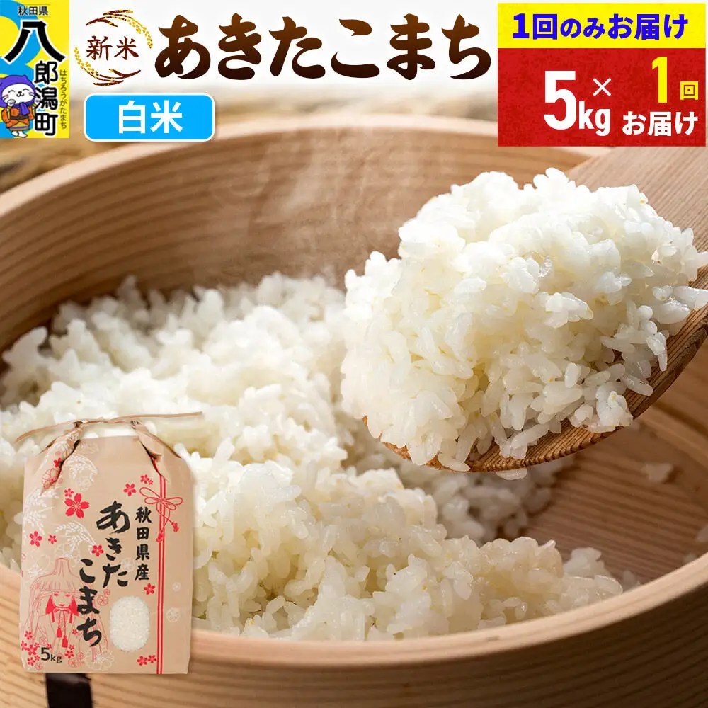《新米》あきたこまち 5kg 秋田県産 こまちライン