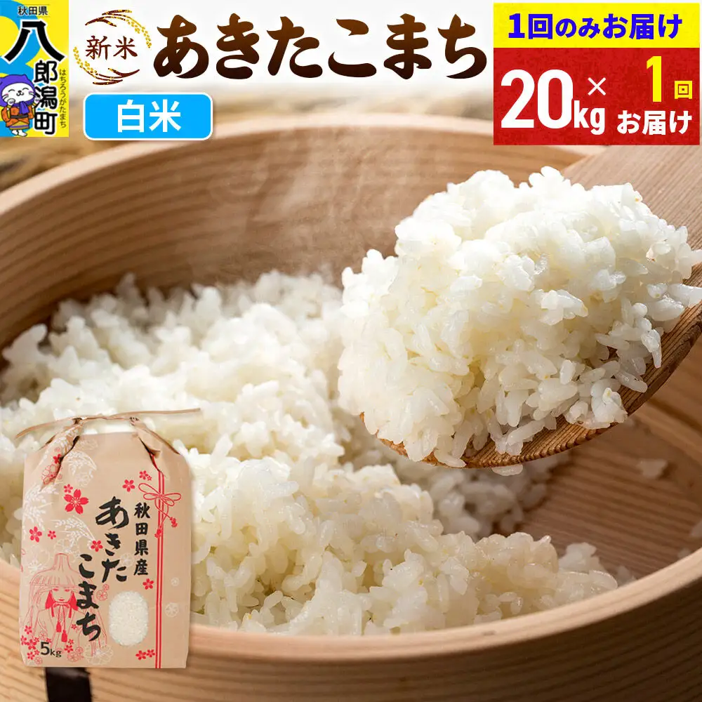 《新米》あきたこまち 20kg 秋田県産 こまちライン