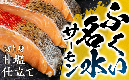 ふくい名水サーモン 切身 甘塩仕立て サーモン 鮭