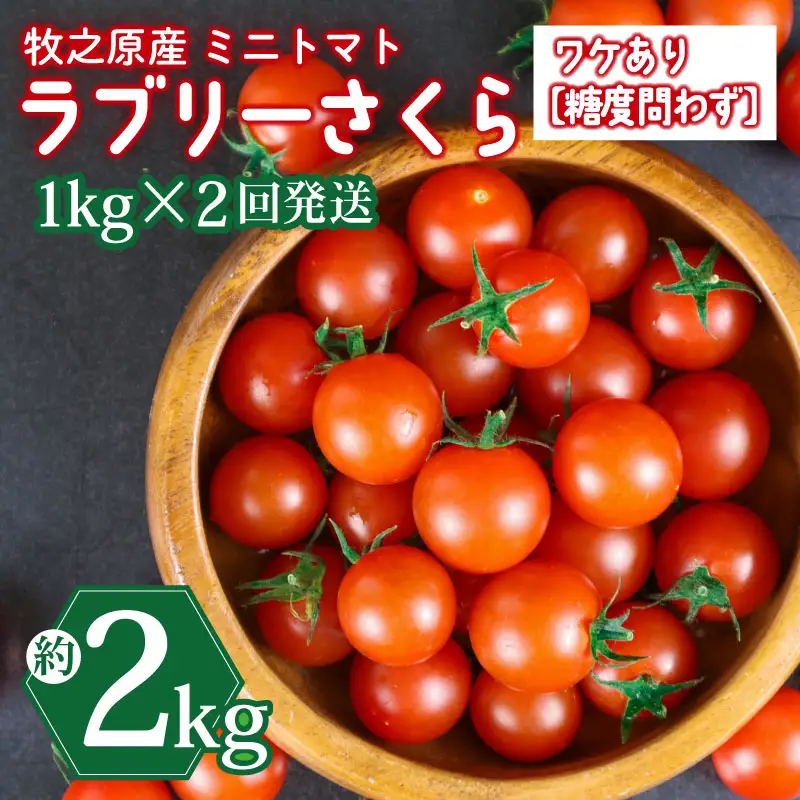 ミニトマト 2kg (1kg×2回) 訳あり 定期便 【ミニトマト】 山本農園