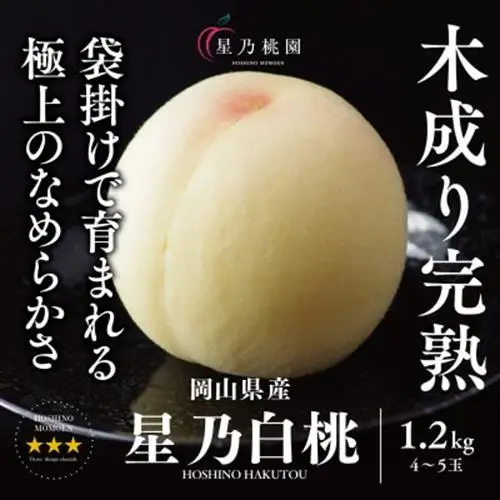 先行受付【星乃白桃】岡山県の桃園からお届けする三つ星の桃 1.2kg (4～5玉)【配送不可地域：離島・北海道・沖縄県】【1614276】