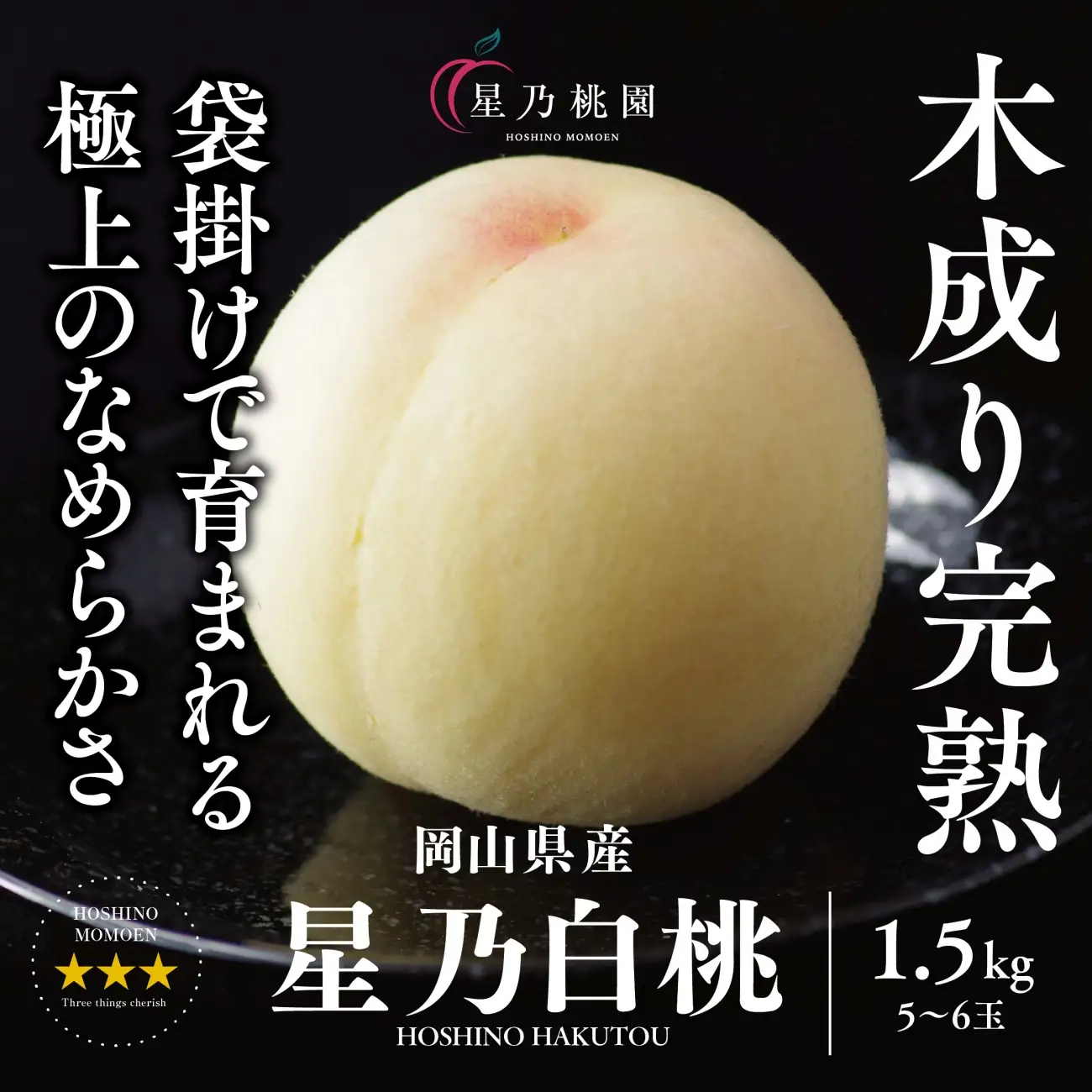 先行受付【星乃白桃】岡山県の桃園からお届けする三つ星の桃 1.5kg(5～6玉)【配送不可地域：離島・北海道・沖縄県】【1614279】