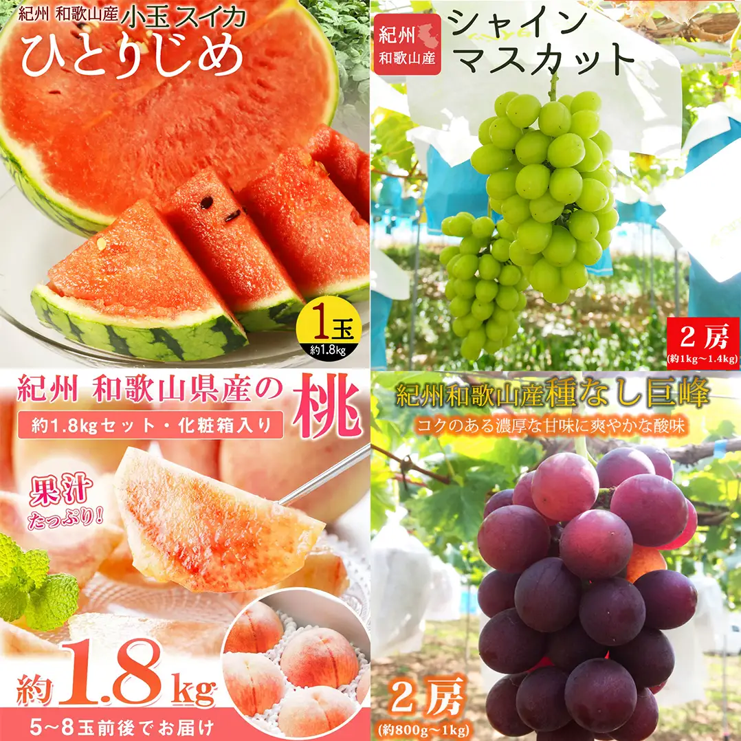 【全4回】紀州和歌山産旬のフルーツ定期便 (スイカ・桃・巨峰・シャインマスカット) / すいか スイカ もも 桃 白桃 巨峰 マスカット シャインマスカット 葡萄 ぶどう 果物 くだもの フルーツ フルーツ定期便 和歌山【tkb421】 