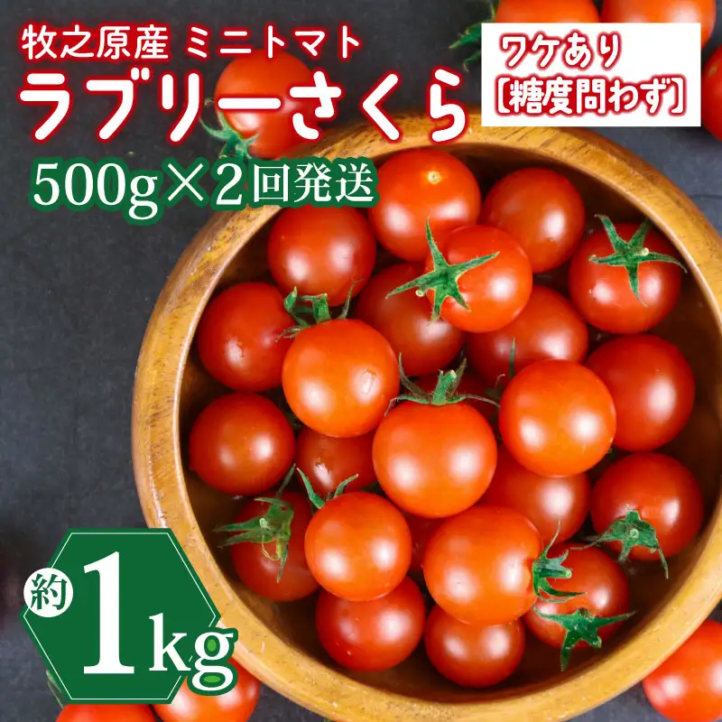 ミニトマト 1kg (500g×2回) 訳あり 定期便 【ミニトマト】 山本農園