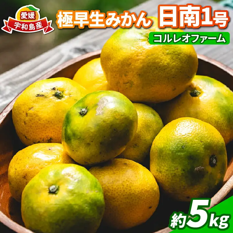 極早生みかん  5kg 日南1号 コルレオファーム 極早生みかん B010-145011