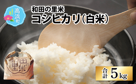 【先行予約】【令和7年産　新米】和田の里米 コシヒカリ 白米 5kg【2025年10月より順次発送】