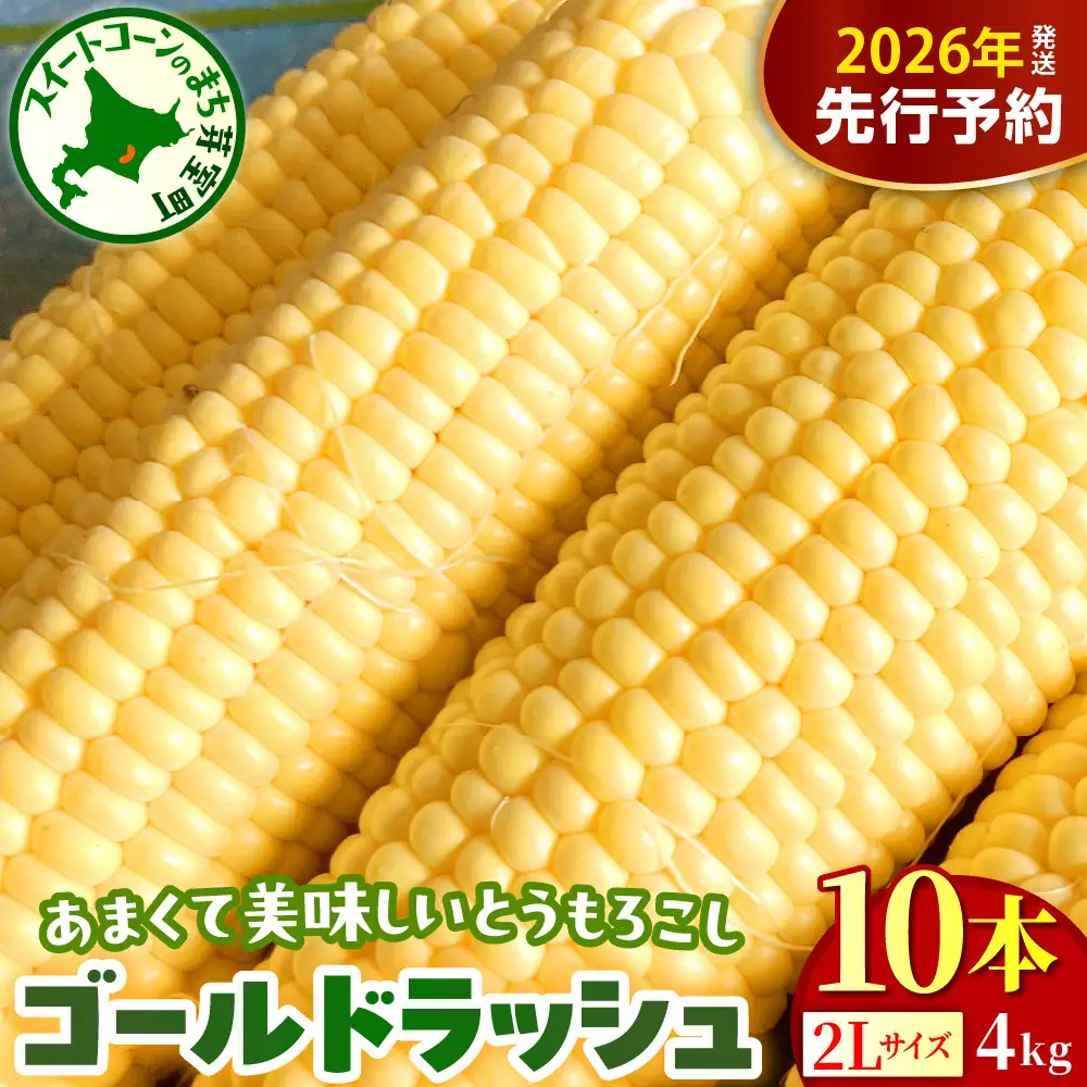 【2026年8月上旬～8月下旬頃配送】北海道十勝芽室町 とうもろこし ゴールドラッシュ 2Lサイズ 10本セット キャンプ飯 BBQ ソロキャン人気 トウモロコシ 生 野菜 北海道 十勝 芽室町 送料無料 お取り寄せme078-003c-26
