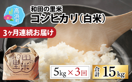 【先行予約】【令和7年産　新米】【3ヶ月定期便】】和田の里米 5kg 3ヶ月連続【2025年10月より順次発送】