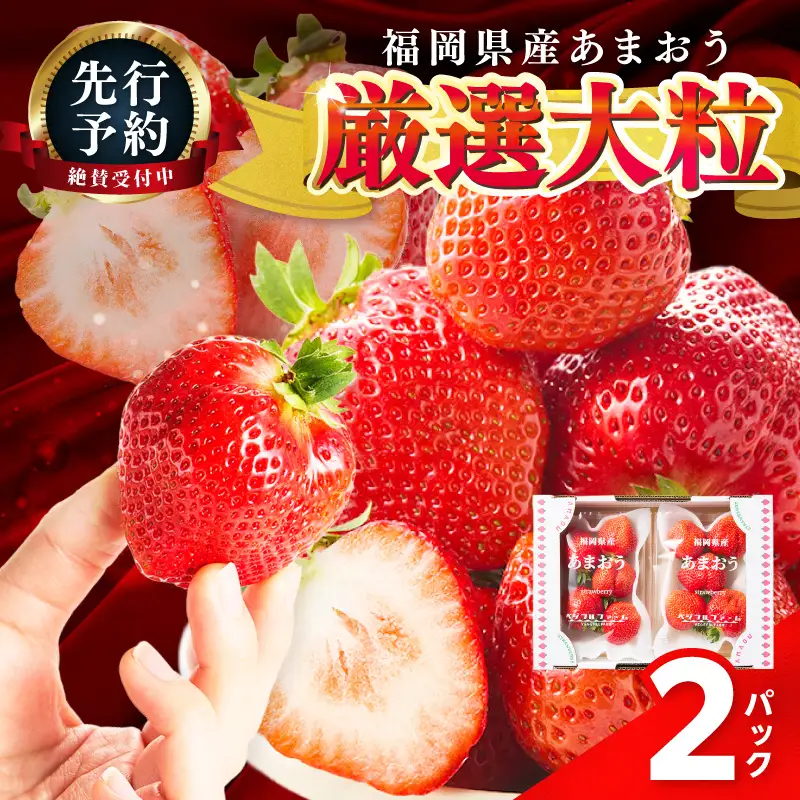 【2027年先行予約】厳選大粒あまおう(約250-270gx2パック)【044-0085】
