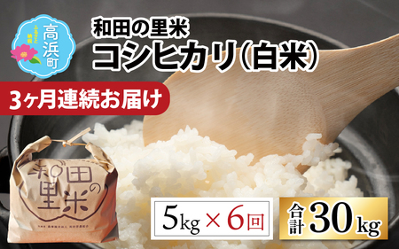【先行予約】【令和7年産　新米】【6ヶ月定期便】和田の里米 5kg 6ヶ月連続【2025年10月より順次発送】