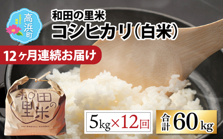 【先行予約】【令和7年産　新米】【12ヶ月定期便】和田の里米 5kg 12ヶ月連続【2025年10月より順次発送】