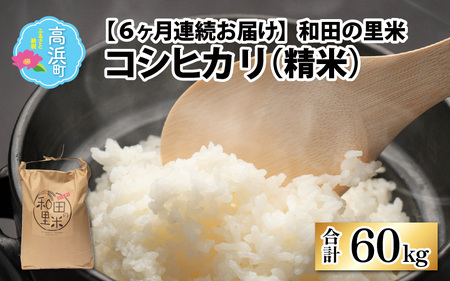 【先行予約】【令和7年産　新米】【6ヶ月定期便】和田の里米 10kg 6ヶ月連続【2025年10月より順次発送】