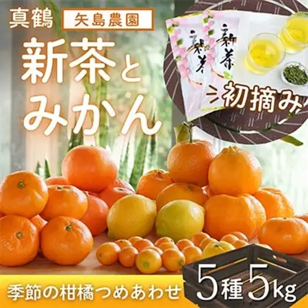 新茶と季節の柑橘詰め合わせ5種5kg! いろんな味が楽しめる農家直送みかんBox【先行受付】【1617064】