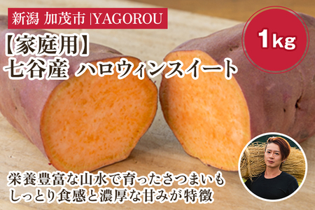 【家庭用】ハロウィンスイート 1kg（A品・B品混在） 七谷産 さつまいも《順次発送》