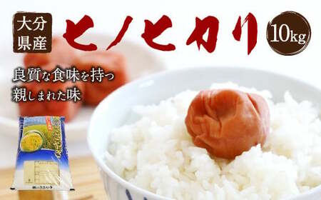 【令和7年産】大分県産 ヒノヒカリ 10kg【2025年11月下旬発送開始予定】