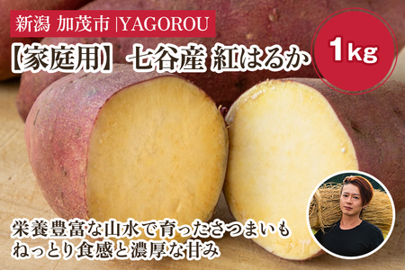 【家庭用】紅はるか 1kg（A品・B品混在） 七谷産 さつまいも《順次発送》