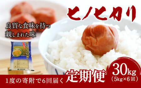 【6ヶ月定期便】大分県産 ヒノヒカリ 5kg×6回 計30kg