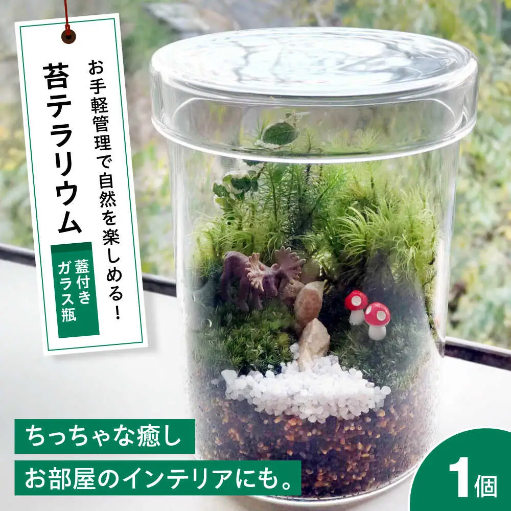 苔テラリウム（蓋付きガラス瓶）[APCJ008] テラリウム