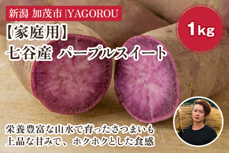 【家庭用】パープルスイート 1kg（A品・B品混在） 七谷産 さつまいも《順次発送》