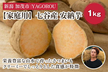 【家庭用】安納芋 1kg（A品・B品混在） 七谷産 さつまいも《順次発送》