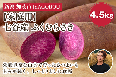 【家庭用】ふくむらさき 4.5kg（A品・B品混在） 七谷産 さつまいも《順次発送》