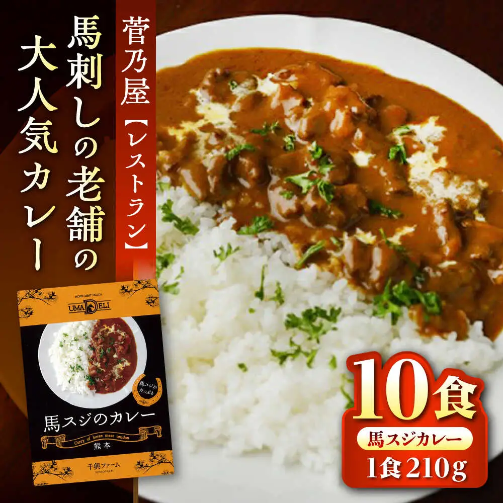 馬スジのカレー 10食 210g×10 計2.1kg カレー[AYAF027]