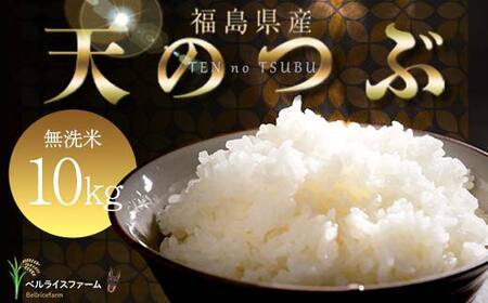 〈先行予約〉令和7年産 農家直送 ベルライスファームの天のつぶ 無洗米10kg F6U-129
