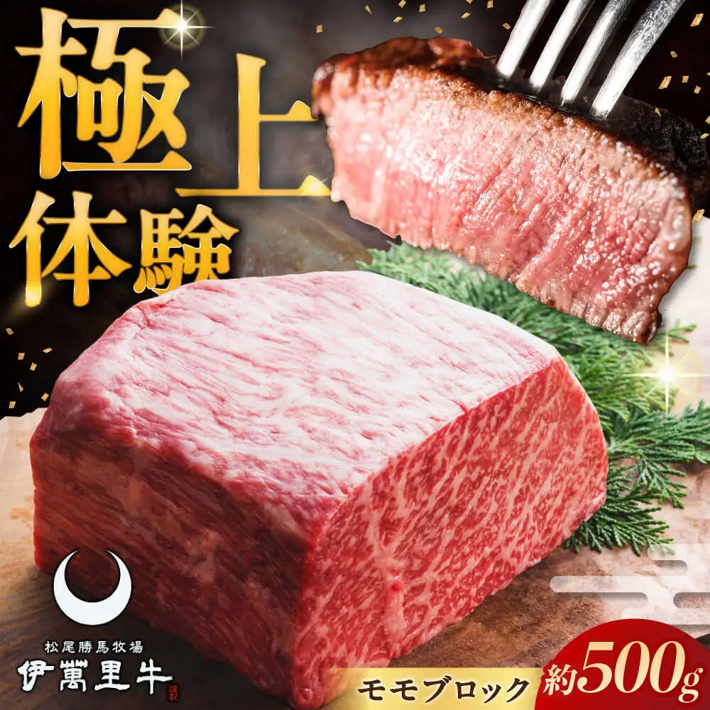 伊萬里牛赤身ブロック 500g / 佐賀県 / まつお食肉卸株式会社 [41AECZ001] 14,800円