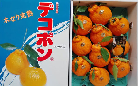 【2027年3月中旬発送】木なり完熟デコポン 3kg / 佐賀県 / 一般社団法人龍乃 [41ANAC011]