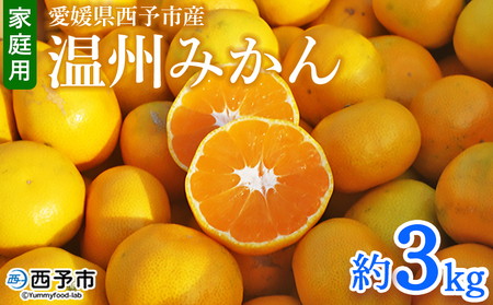＜愛媛県西予市産 温州みかん 家庭用 約3kg ＞ 果物 くだもの ミカン 柑橘 フルーツ 訳あり ワケアリ 旬 特産品 段畑みかん 愛媛県 西予市【常温】『2026年10月中旬～11月中旬迄に順次出荷予定』ADM0019