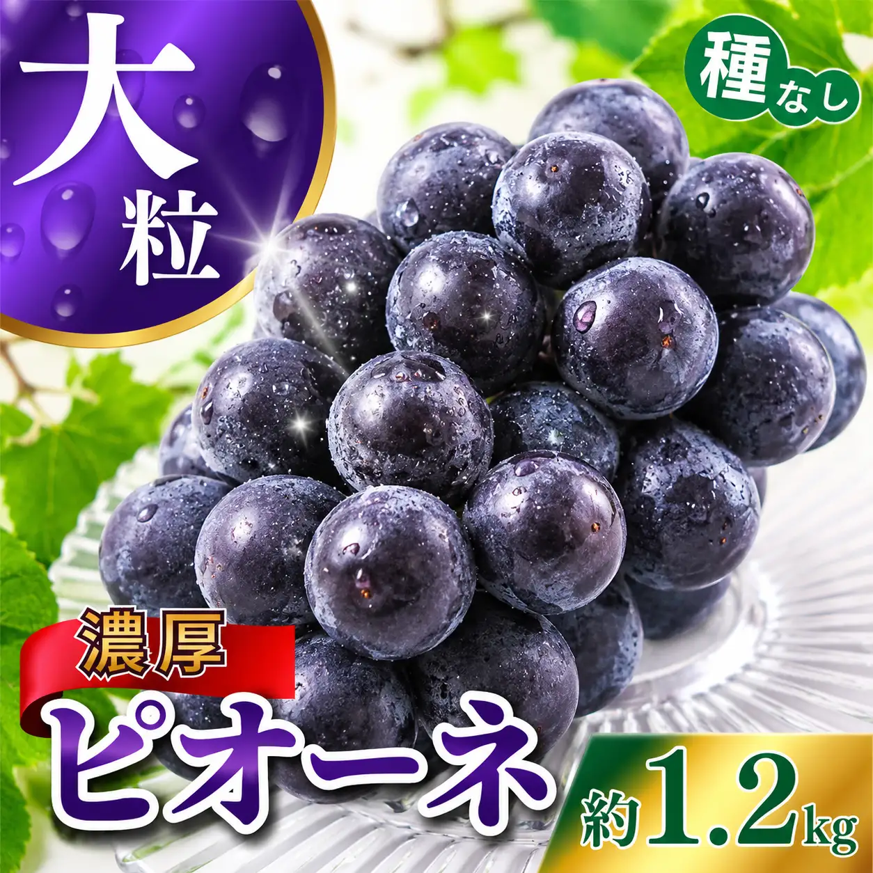 【甘さとみずみずしさが自慢】種なしピオーネ＜ぶどう約1.2kg＞【2026年8月下旬～9月中旬頃発送予定】【A-frks170A】
