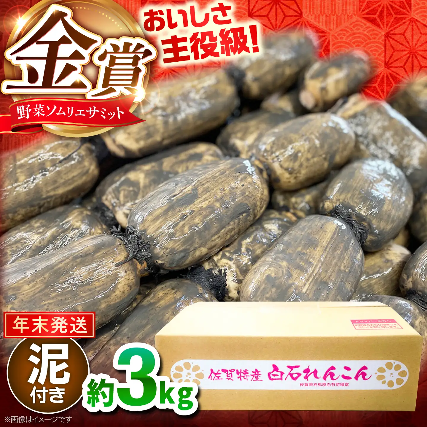 【年末発送】れんこん 約3kg れんこん IBD019