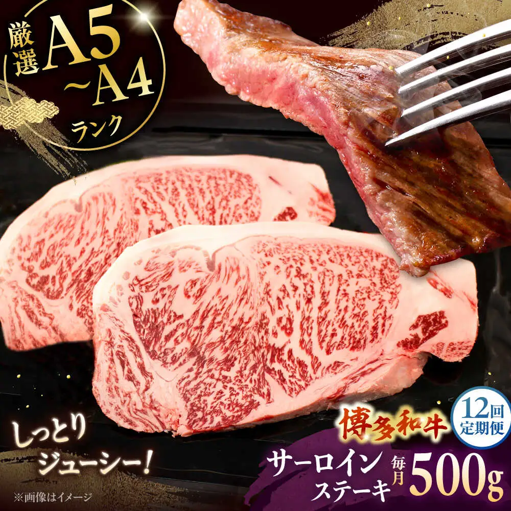【全12回定期便】博多和牛 サーロイン ステーキ 2枚（計500g） [ADBZ020] 定期便 サーロインステーキ ステーキ肉